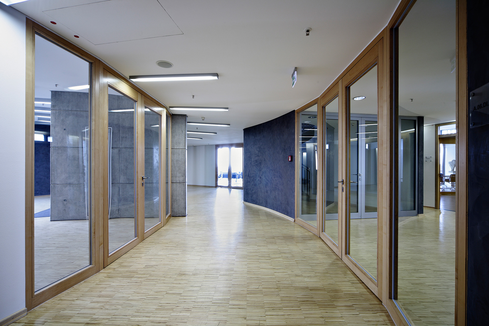 Lichtdurchfluteter Korridor mit Objekttüren aus Glas